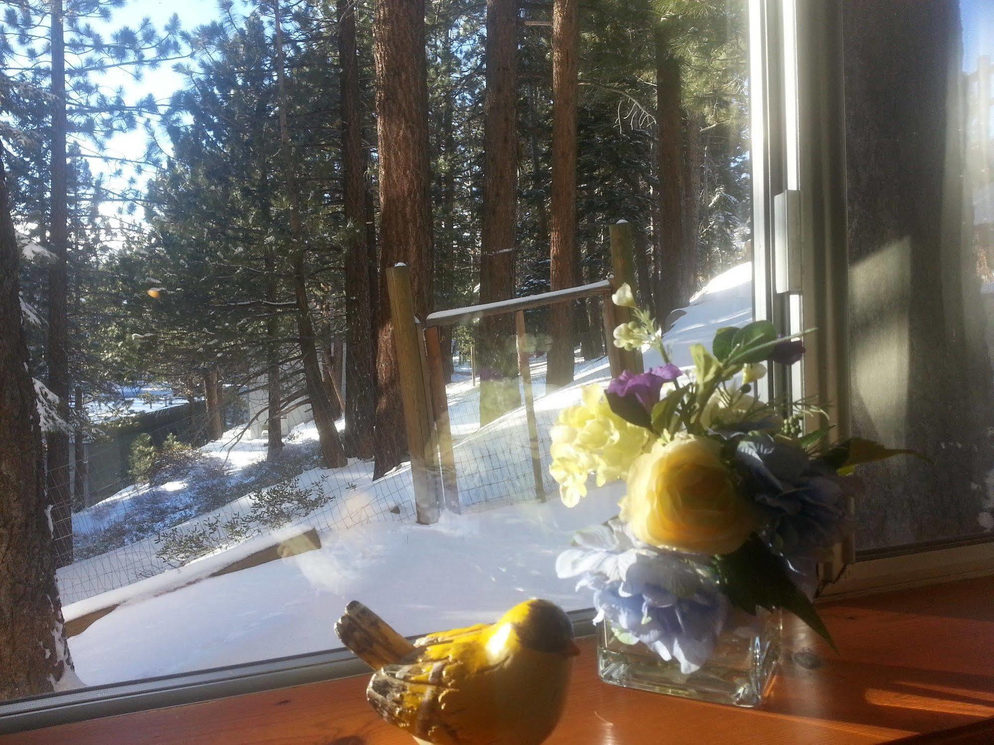 Innsbruck Lodge Mammoth Lakes Buitenkant foto